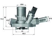 TI 147 80 BEHR termostat chladenia TI 147 80 BEHR