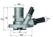 TI 149 88 Termostat, chladivo BEHR