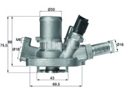 TI 151 80 BEHR termostat chladenia TI 151 80 BEHR