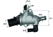 TI 174 88 Termostat, chladivo BEHR