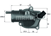 TI 31 92 Termostat, chladivo BEHR