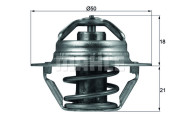 TX 100 89D Termostat, chladivo BEHR