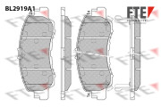 BL2919A1 Sada brzdových destiček, kotoučová brzda FTE