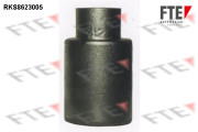 RKS8623005 Píst, brzdový třmen FTE