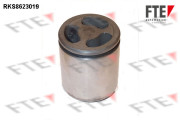 RKS8623019 Píst, brzdový třmen FTE
