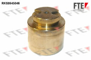 RKS8645046 Píst, brzdový třmen FTE