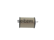 C10043ECO Palivový filtr FRAM