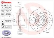 09.A813.10 Brzdový kotouč PRIME LINE BREMBO