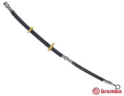 T 44 031 Brzdová hadice ESSENTIAL LINE BREMBO