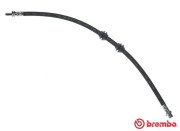 T 44 033 Brzdová hadice ESSENTIAL LINE BREMBO