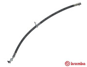 T 83 019 Brzdová hadice ESSENTIAL LINE BREMBO