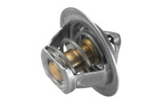 3017.83 Termostat, chladivo BorgWarner (Wahler)