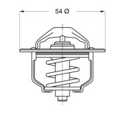 3103.79 Termostat, chladivo BorgWarner (Wahler)