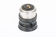410448.107D Termostat, chladivo BorgWarner (Wahler)