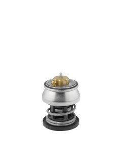412253.88D Termostat, chladivo BorgWarner (Wahler)