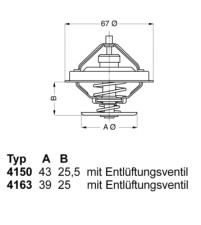 4163.79D Termostat, chladivo BorgWarner (Wahler)