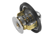 4162.79D Termostat, chladivo BorgWarner (Wahler)