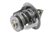 4634.76 Termostat, chladivo BorgWarner (Wahler)