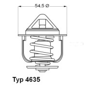 4635.76 Termostat, chladivo BorgWarner (Wahler)