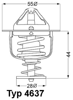 4637.82D Termostat, chladivo BorgWarner (Wahler)