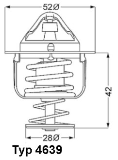 4639.82D Termostat, chladivo BorgWarner (Wahler)