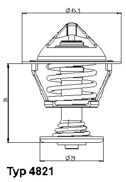 4821.89D BorgWarner (Wahler) termostat chladenia 4821.89D BorgWarner (Wahler)