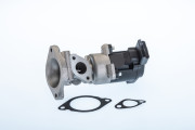 710976R AGR-Ventil BorgWarner (Wahler)