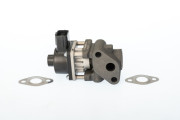 711024D/1 AGR-Ventil BorgWarner (Wahler)