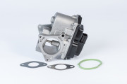 711080R AGR-Ventil BorgWarner (Wahler)