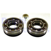 BK293 Sada ložisek kol DELPHI