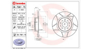 360406011005 Brzdový kotouč MAGNETI MARELLI