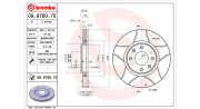 360406018905 Brzdový kotouč MAGNETI MARELLI