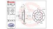 360406046005 Brzdový kotouč MAGNETI MARELLI