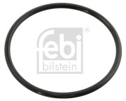 10258 Těsnění, termostat FEBI BILSTEIN