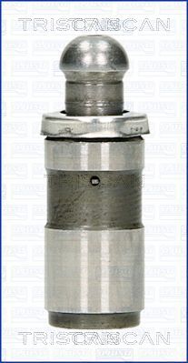 80-25006 Zdvihátko ventilu TRISCAN