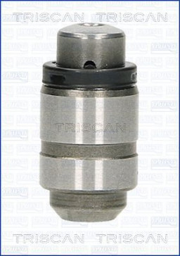 80-42002 Zdvihátko ventilu TRISCAN