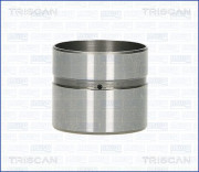80-43002 Zdvihátko ventilu TRISCAN