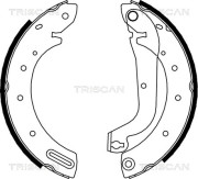 8100 14596 Sada brzdových čelistí TRISCAN