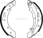 8100 42020 Sada brzdových čelistí TRISCAN