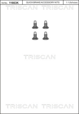 8105 116004 TRISCAN skrutka brzdového kotúča 8105 116004 TRISCAN