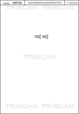 8105 116012 TRISCAN skrutka brzdového kotúča 8105 116012 TRISCAN
