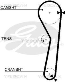 8645 5316 Ozubený řemen TRISCAN
