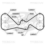 8645 5384xs TRISCAN ozubený remeň 8645 5384xs TRISCAN