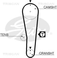 8645 5393xs Ozubený řemen rozvodů TRISCAN