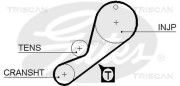 8645 5452xs Ozubený řemen TRISCAN