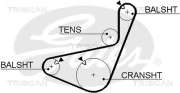 8645 5456xs TRISCAN ozubený remeň 8645 5456xs TRISCAN