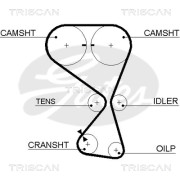 8645 5534xs Ozubený řemen TRISCAN