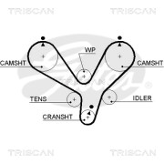 8645 5536xs Ozubený řemen TRISCAN