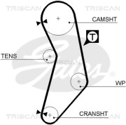 8645 5545xs Ozubený řemen TRISCAN