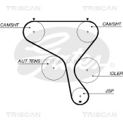 8645 5573xs Ozubený řemen TRISCAN